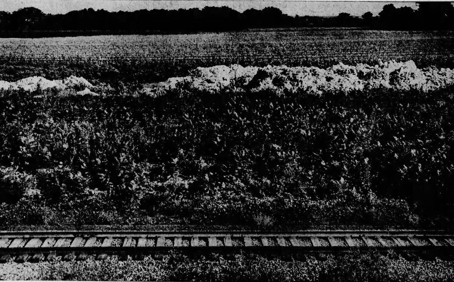 Photo of uranium ores residue stored north of the airport in 1946